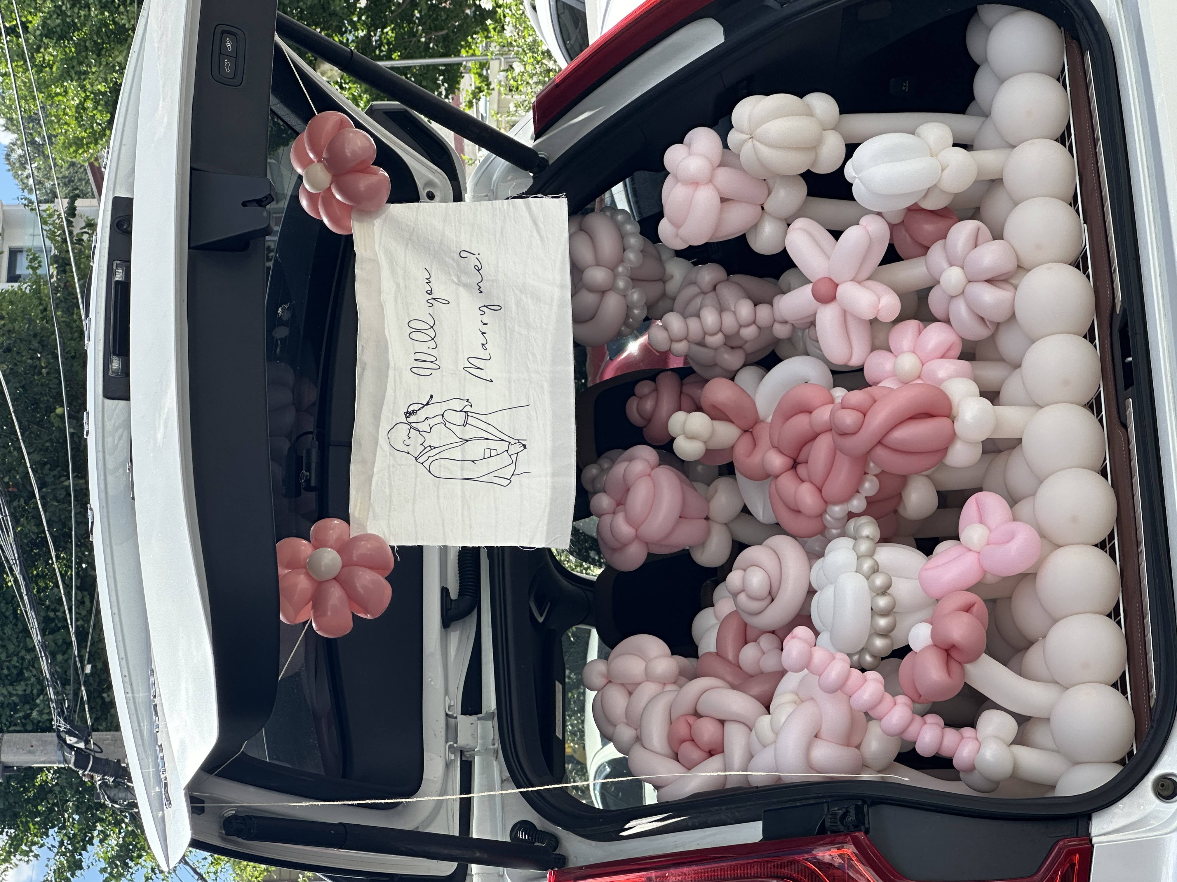 풍선꽃 정원 같은 특별한 고백 상세이미지 1