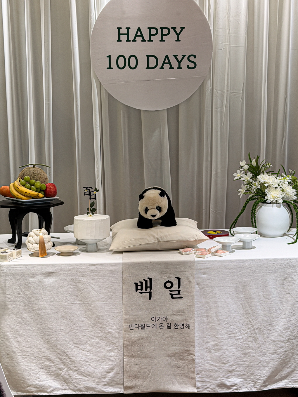 판다 100일 기념 풍선장식
